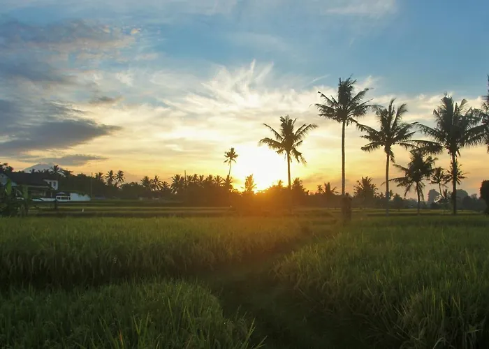 Griya Private Ubud